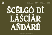 CS Clarion Drawn, a Serif Font by Craft Supply Co. (Thumbnail 6 of 8)