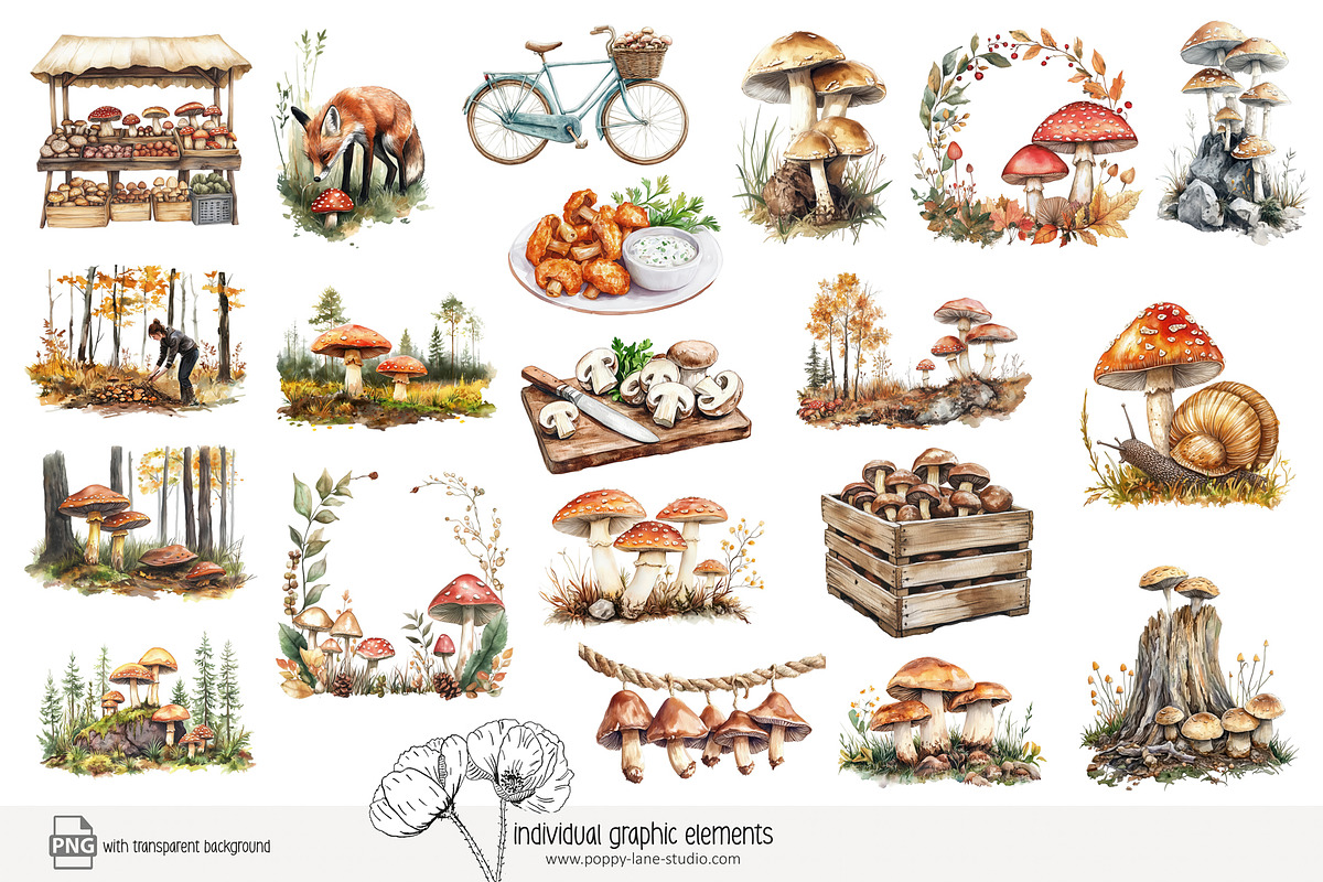 100 autumn mushroom clip art, a Seasonal Illustration by Poppy Lane Studio (Photo 6 of 11)