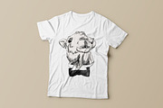 Fashion camel set, an Animal Illustration by TaPilipa (Thumbnail 5 of 5)