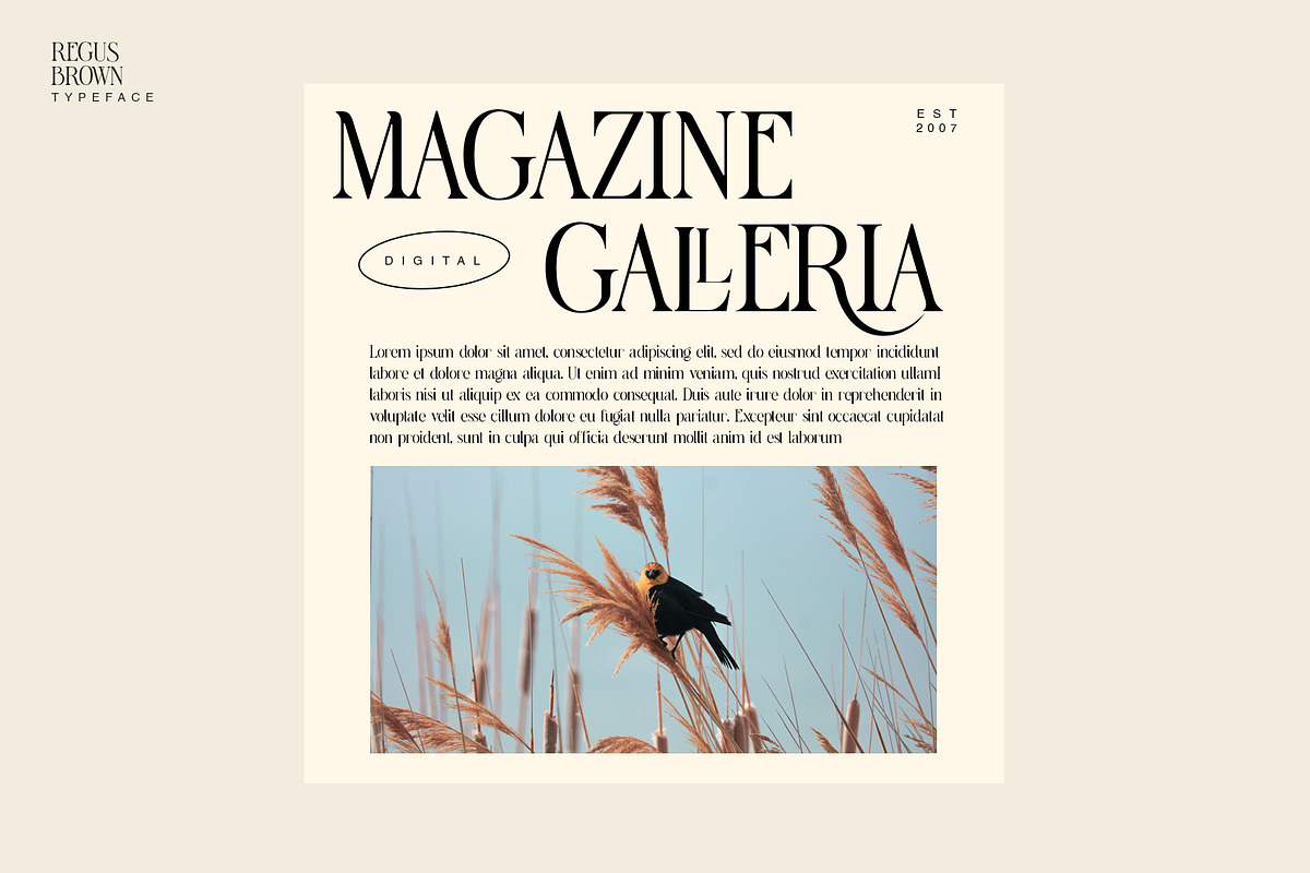 Regus Brown, a Serif Font by Ryan Rivaldo Vierra (Photo 13 of 16)