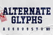 Hockeynight Serif, a Font by XTOPH - Fonts (Thumbnail 3 of 8)