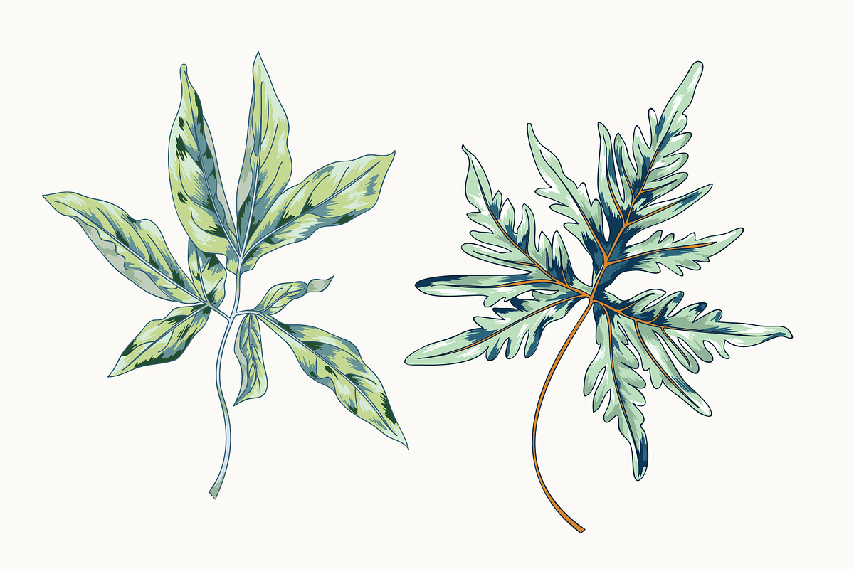 Tropical Leaf Clip Art, an Illustration by Ania Illustration (Photo 6 of 6)