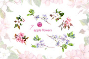 Apple flowers set. Watercolor vector, an Illustration by Where summer is (Thumbnail 3 of 5)