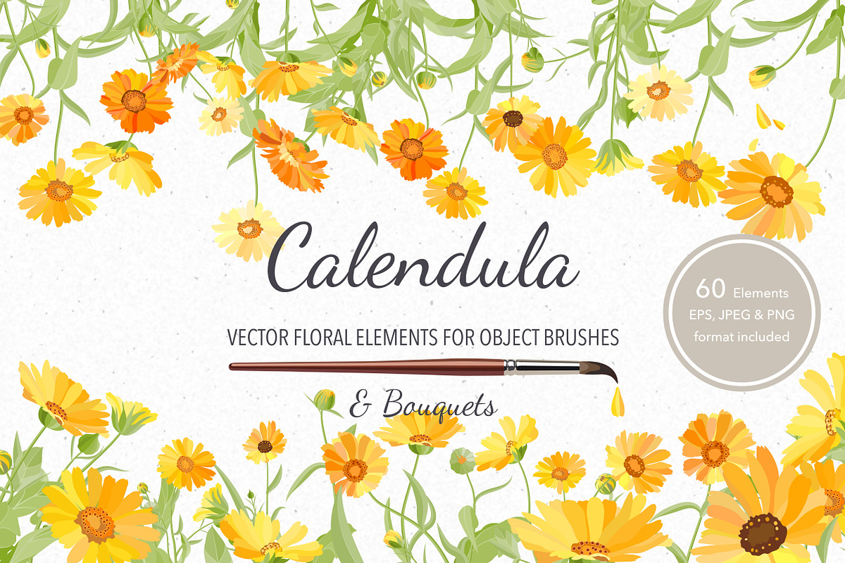 Vector object brushes. Calendula