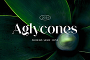 Aglycones Elegant Serif Display Font, a Serif Font by UICreative (Thumbnail 1 of 13)