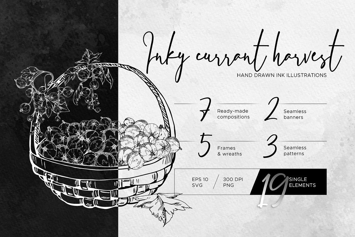 Inky currant harvest, a Food Illustration by MsFlaffy (Photo 1 of 9)