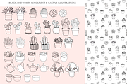 Succulents & cactuses illustrations, a Decorative Illustration by bigmomentsdesign (Thumbnail 4 of 8)