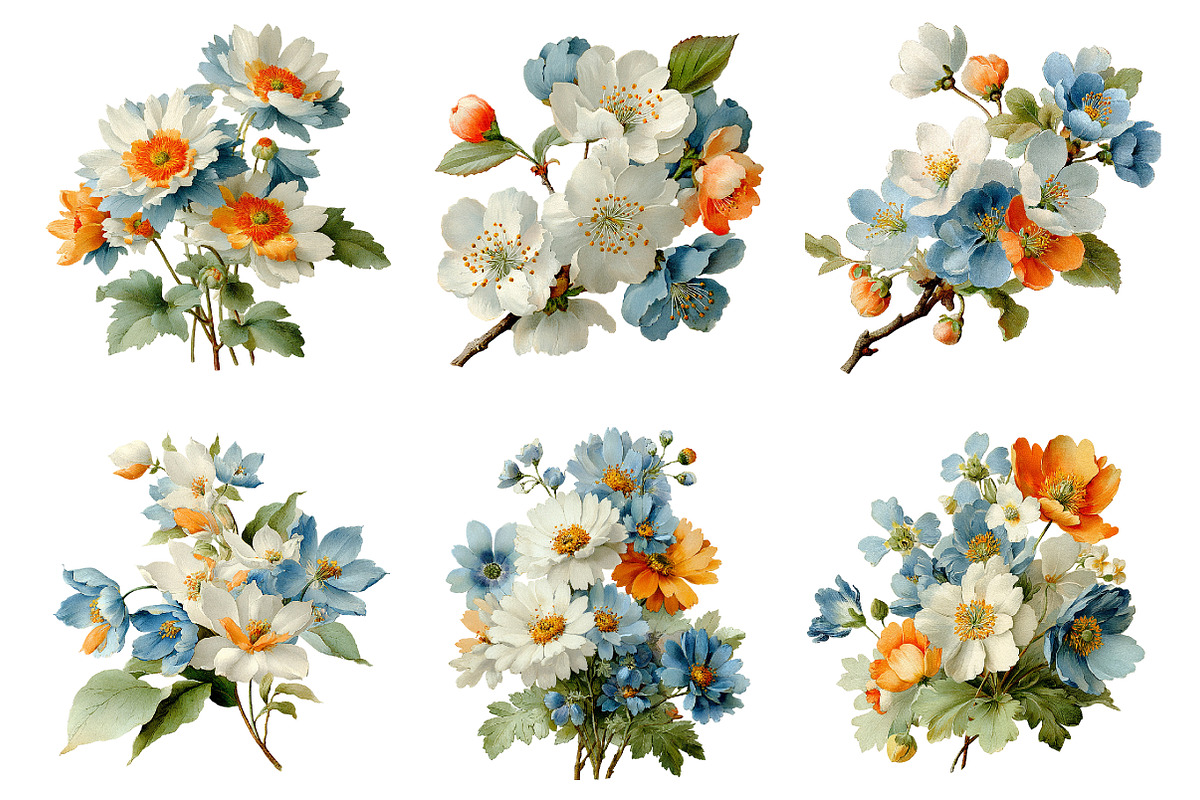 Spring daisy flower clipart, an Illustration by SinaCreation (Photo 4 of 11)
