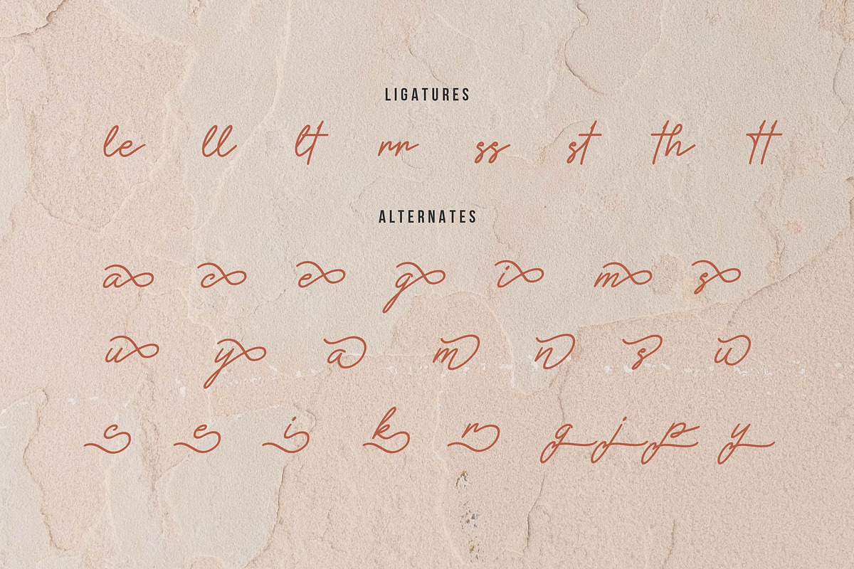 Methamory | Monoline Script Font, a Script Font by Denustudios (Photo 13 of 15)