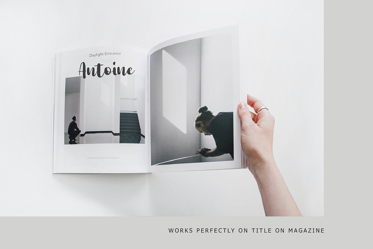 Redina Bold Script Font preview 7