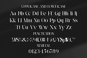 Vistera || Stencil Serif Font, a Serif Font by Idea Studio (Thumbnail 8 of 10)