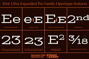 Stint Ultra Expanded Pro Family, a Serif Font by Stiggy & Sands (Thumbnail 4 of 5)