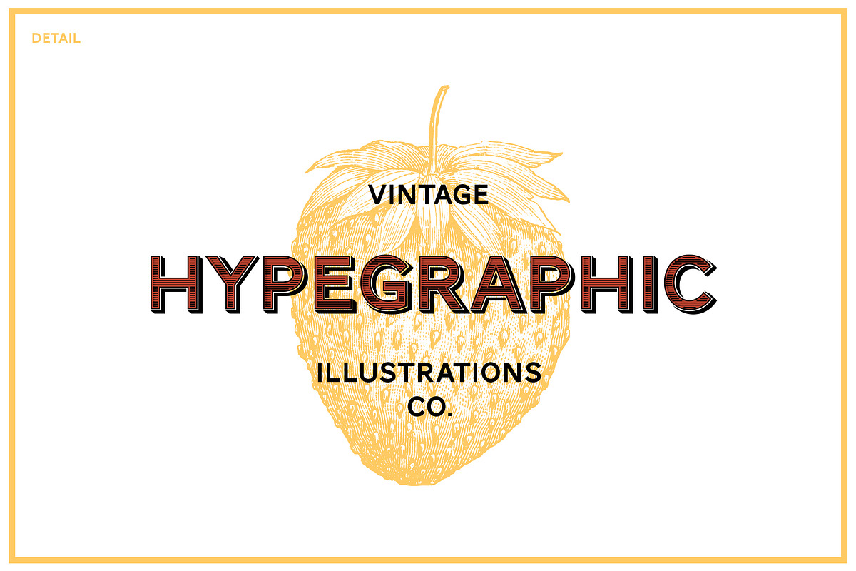 Fruits Vintage Illustrations, an Illustration by hypegraphic (Photo 4 of 4)