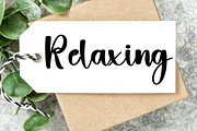 Branding, a Handwritten Font by FreshTypeINK (Thumbnail 2 of 7)