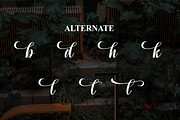 Rooftop Garden | Script Font, a Handwritten Font by Scratchones (Thumbnail 8 of 9)
