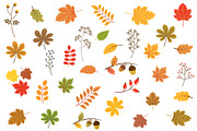 Autumn leaves clipart set, a Seasonal Illustration by Pravokrugulnik (Thumbnail 1 of 2)