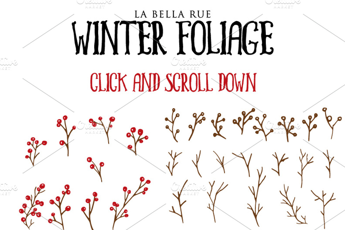 Hand Drawn Winter Christmas Foliage, an Illustration by La Bella Rue (Photo 2 of 4)