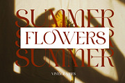 GROMER Elegant Ligature Serif, a Font by Alfinart (Thumbnail 9 of 10)