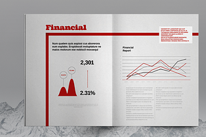 Red Business Brochure Template