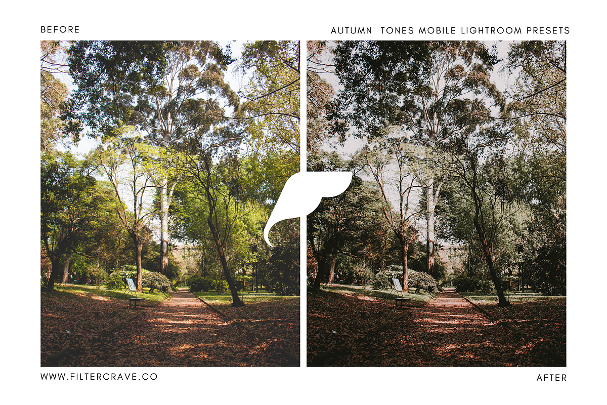Autumn Tone Mobile Lightroom Presets, an Action Add-On by Filtercrave (Photo 5 of 9)