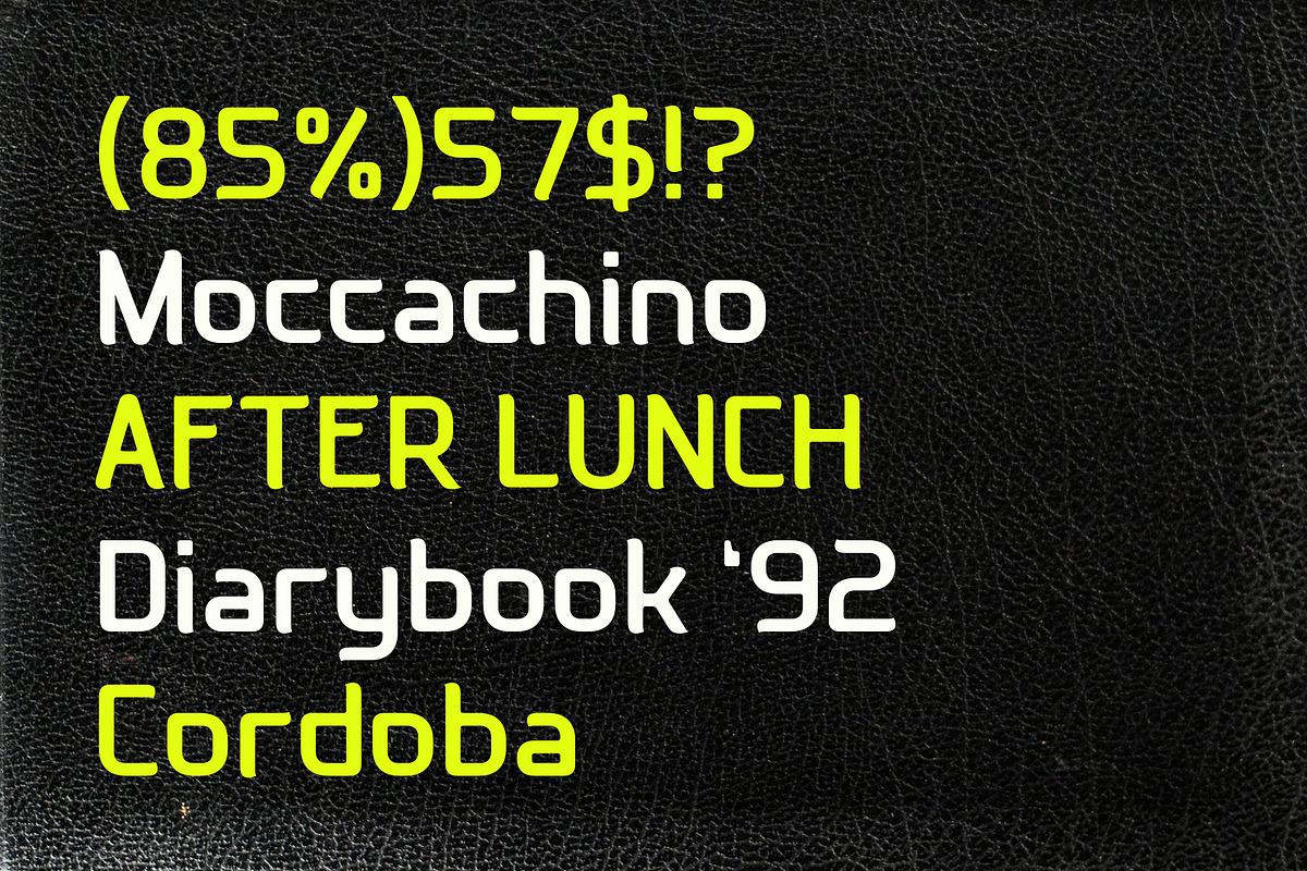 Requin - Modern Display Sans, a Sans Serif Font by Almeera Std (Photo 5 of 8)