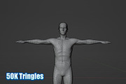 Male Human Base Mesh – Rigged, a Characters & Person 3D Model by Casa Mandarina (Thumbnail 4 of 8)