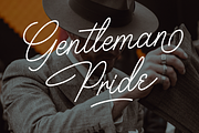 Houstoner Script + EXTRAS! (40%OFF), a Script Font by Martype (Thumbnail 8 of 14)