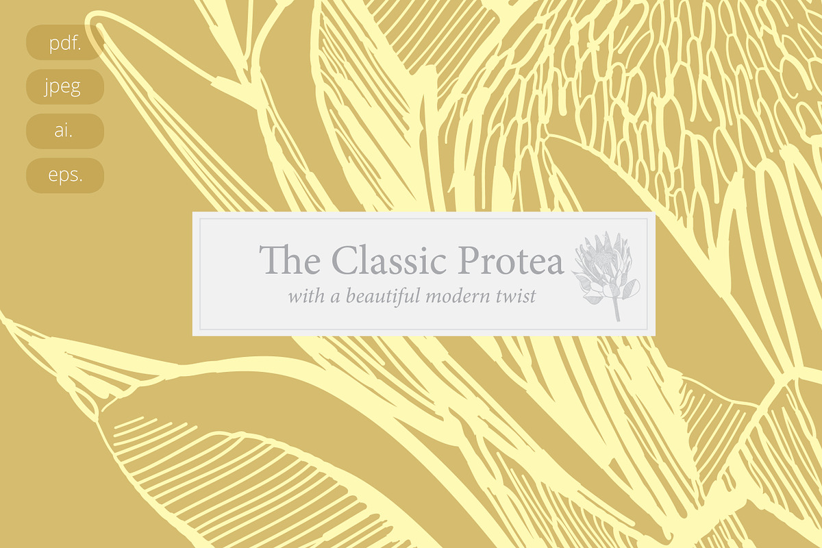 Protea Illustration Vector, an Illustration by Pretty Please Lara (Photo 6 of 6)