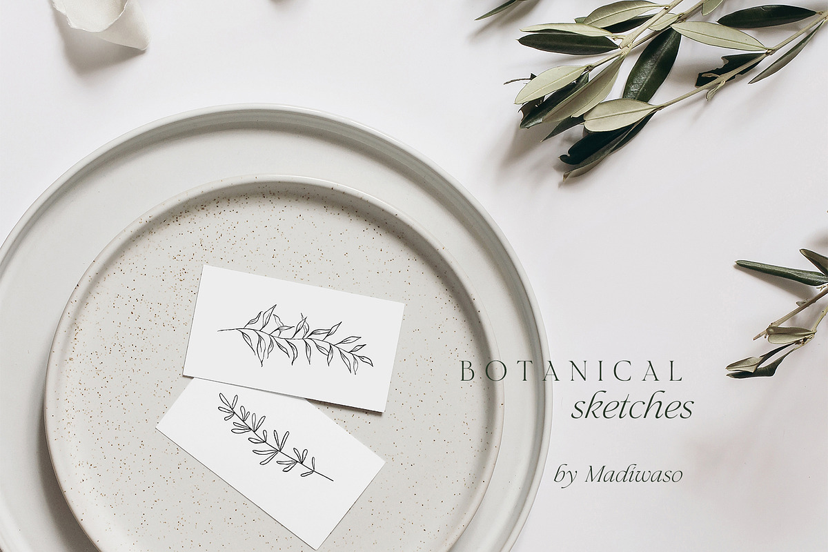 Minimalist floral botanical line art, a Decorative Illustration by Madiwaso (Photo 6 of 9)