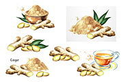 Ginger.Watercolor collection, a Food Illustration by Daria Ustiugova (Thumbnail 3 of 4)