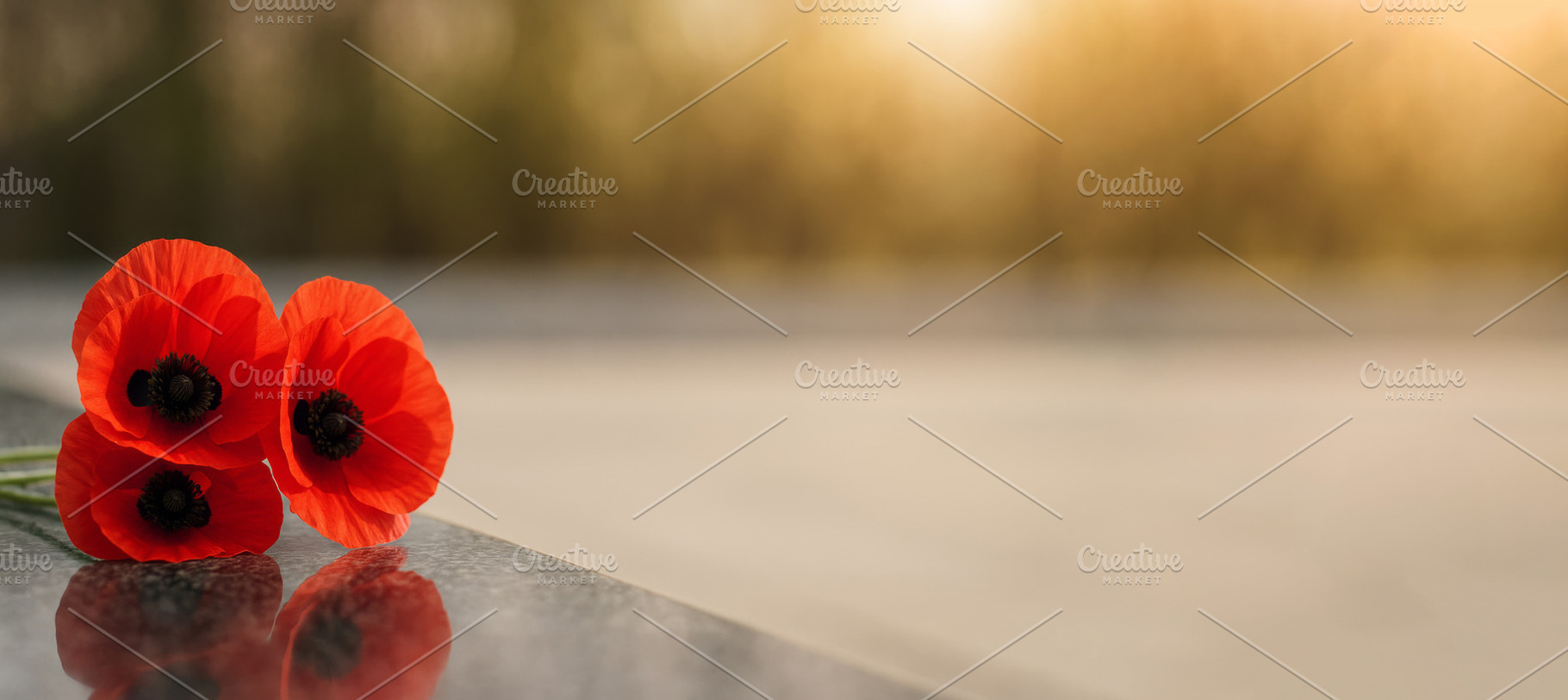 Red poppies on reflective surface symbolize Armistice Day, used, a Photo by Dvoevnore photos