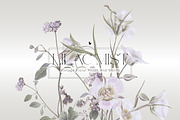 Vintage Botanical Patterns & Motifs, a Pattern Graphic by LEAFure (Thumbnail 1 of 10)