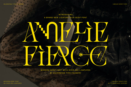 Amelie Fierce - Display Serif Font, a Serif Font by SilverStag Type Foundry