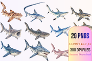 Watercolor Shark Clipart PNG Bundle, an Animal Illustration by Ink Gallery (Thumbnail 4 of 7)