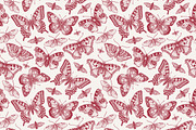 Seamless Butterflies Moth insects, a Pattern Graphic by Vintage (Thumbnail 6 of 13)