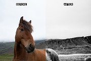 Lightroom Presets: Black & White, an Action Add-On by Giel Sweertvaegher (Thumbnail 3 of 7)