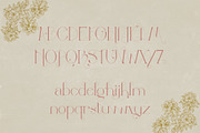 Gladiolus: Elegant Art Nouveau Type, a Serif Font by Megan Mahfoud Studio (Thumbnail 2 of 8)