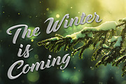 Maria Script Font Family, a Script Font by CRR | NTN (Thumbnail 7 of 9)
