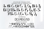 Sometime, a Handwritten Font by FreshTypeINK (Thumbnail 7 of 8)