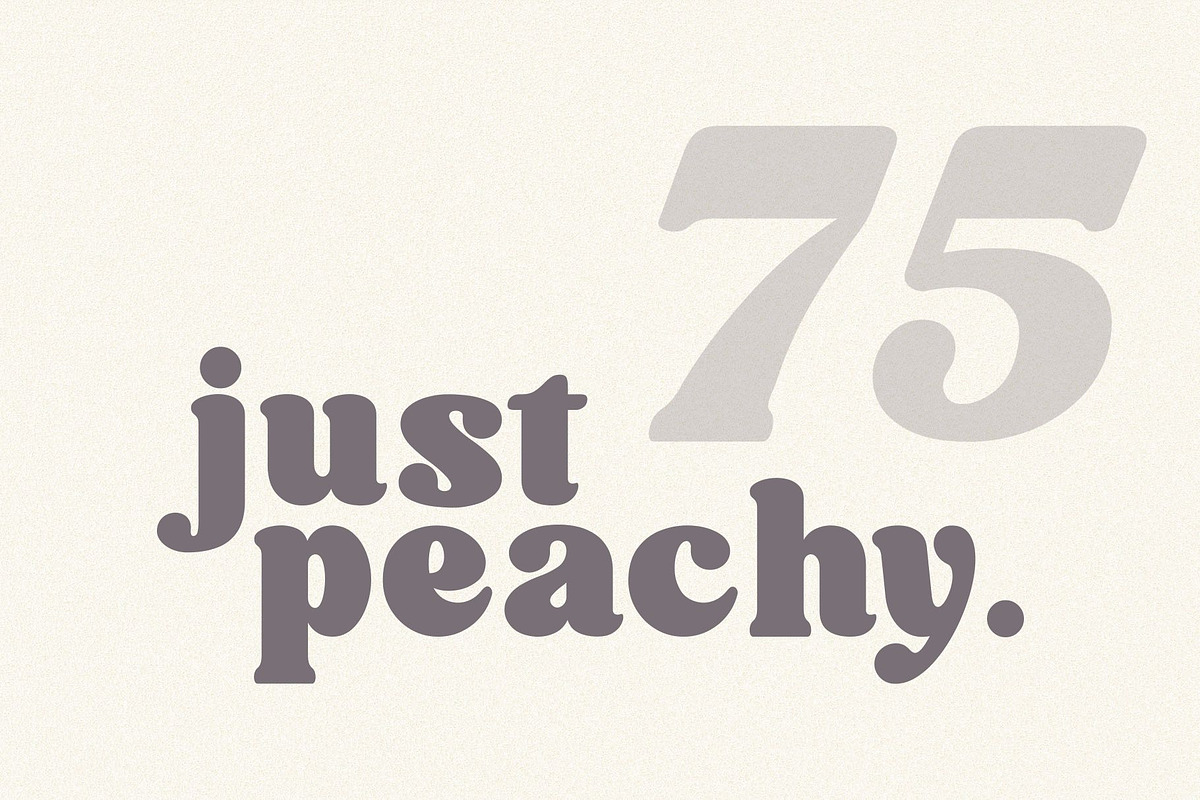 Willow. Typeface Bold Serif preview 6