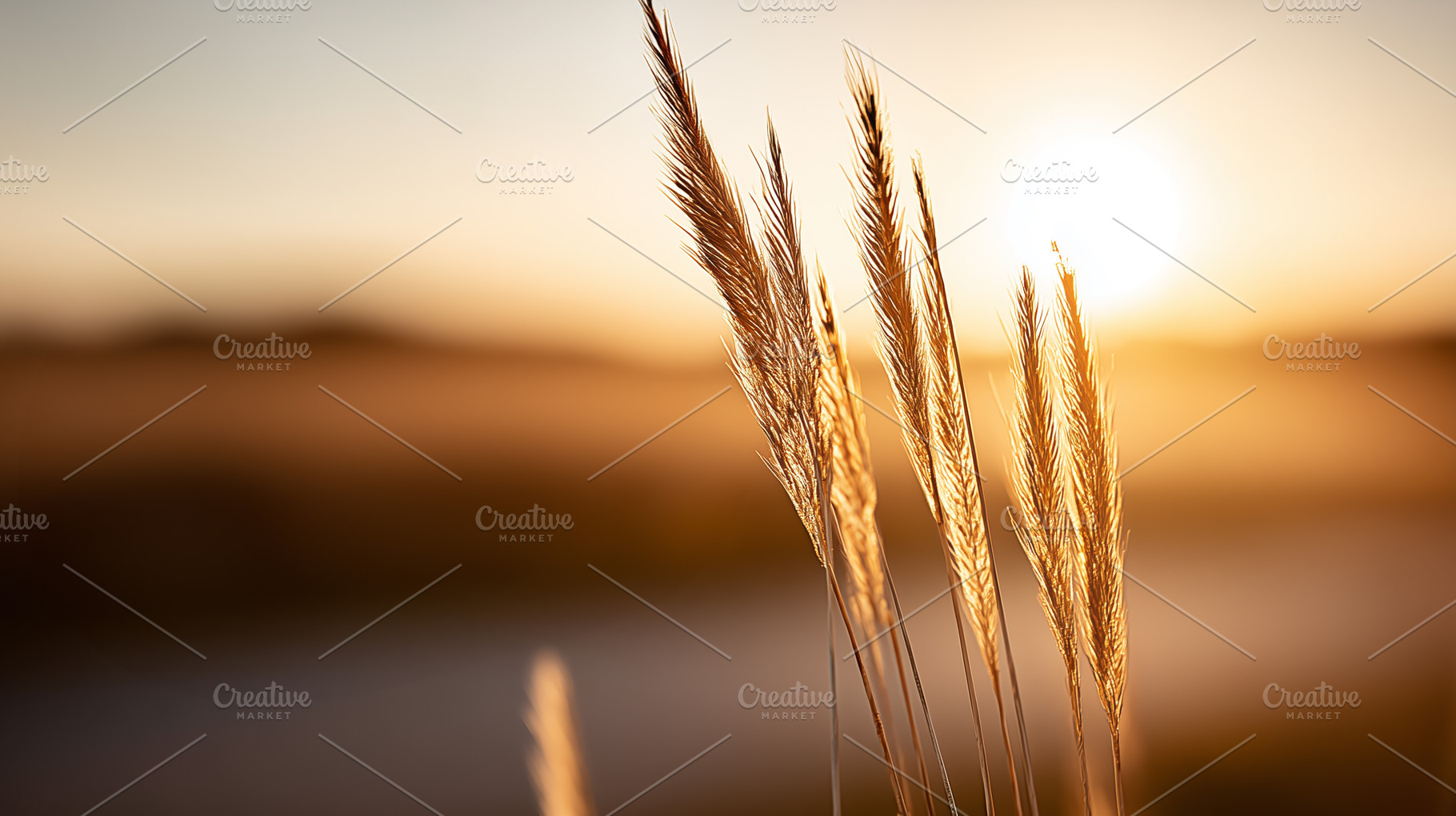 Golden wheat ears glowing in warm, a Nature Photo by MistyDay