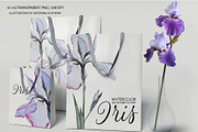Transparent flowers of iris., an Illustration by RushkinaAntonina (Thumbnail 3 of 6)