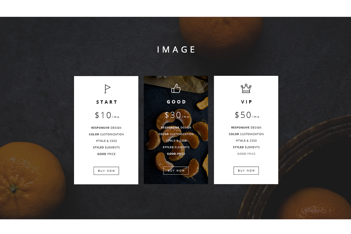 Clean Price Tables, a Templates & Theme by TarasKot (Photo 4 of 6)