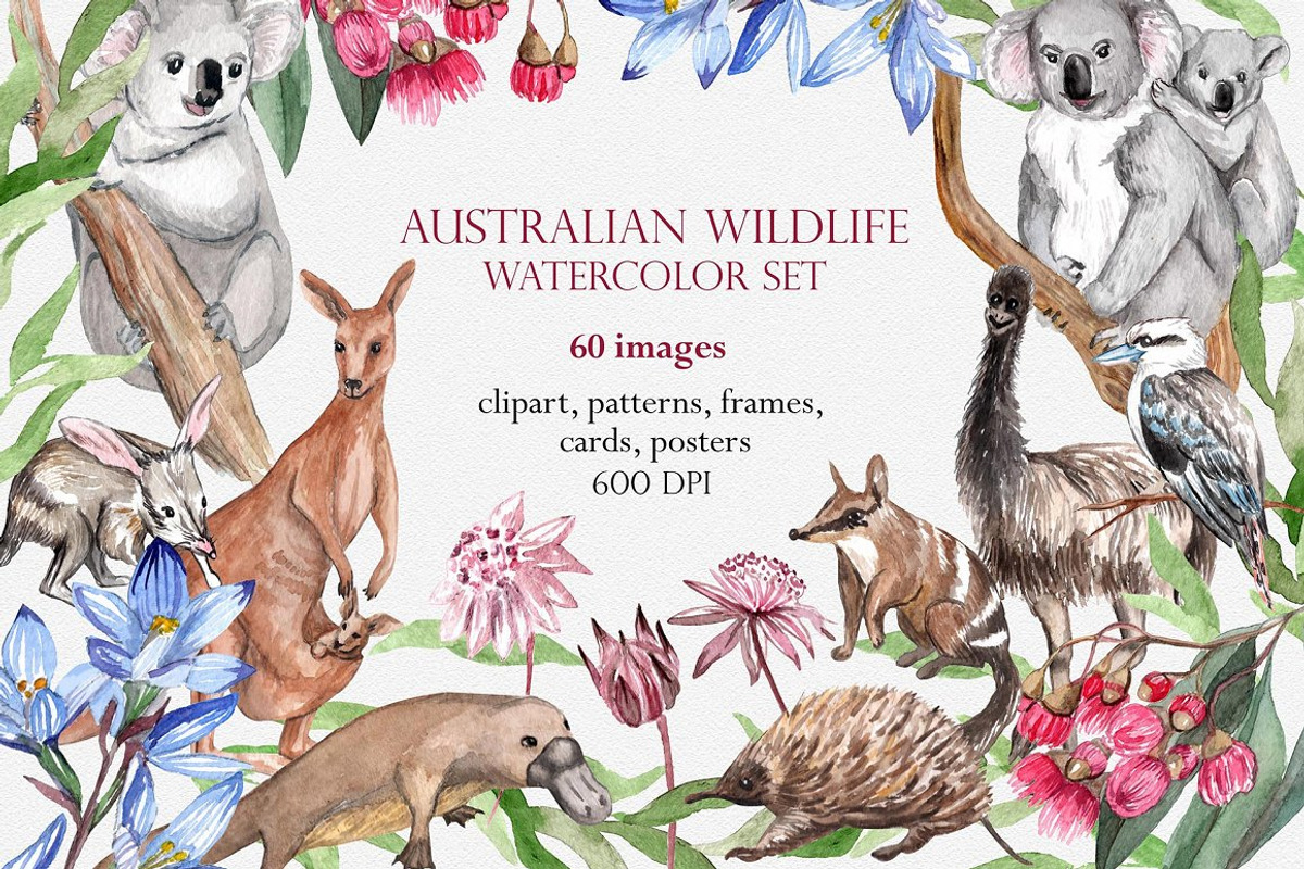 BUNDLE 95 in 1 - 11000 Watercolor, a Decorative Illustration by Catch the Dream Art (Photo 5 of 96)