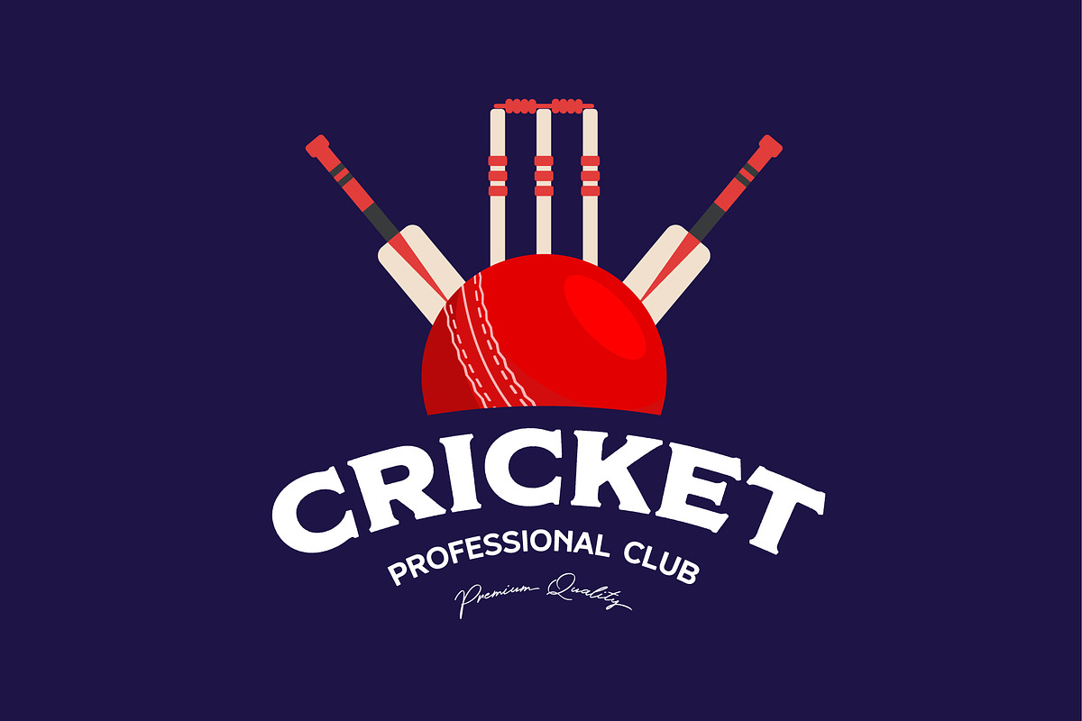 cricket ball element logo template, a Branding & Logo Template by Pyruos ID