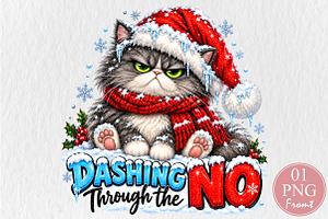 Dashing Through The NO Christmas Cat