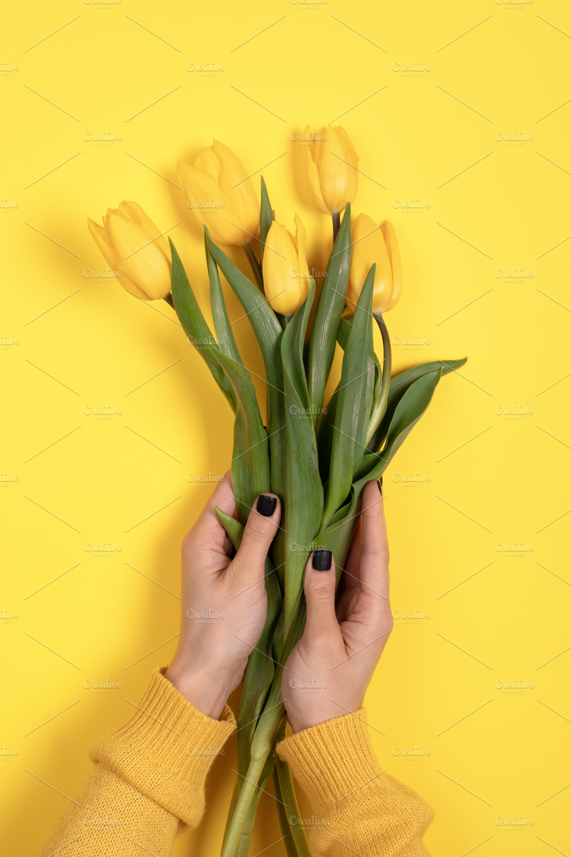 Close-up of hands holding a bouquet of yellow tulips on a vibran, a Holiday Photo by Ales Munt