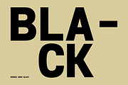 Borneu Mono Regular, a Sans Serif Font by BorneuStd (Thumbnail 10 of 10)
