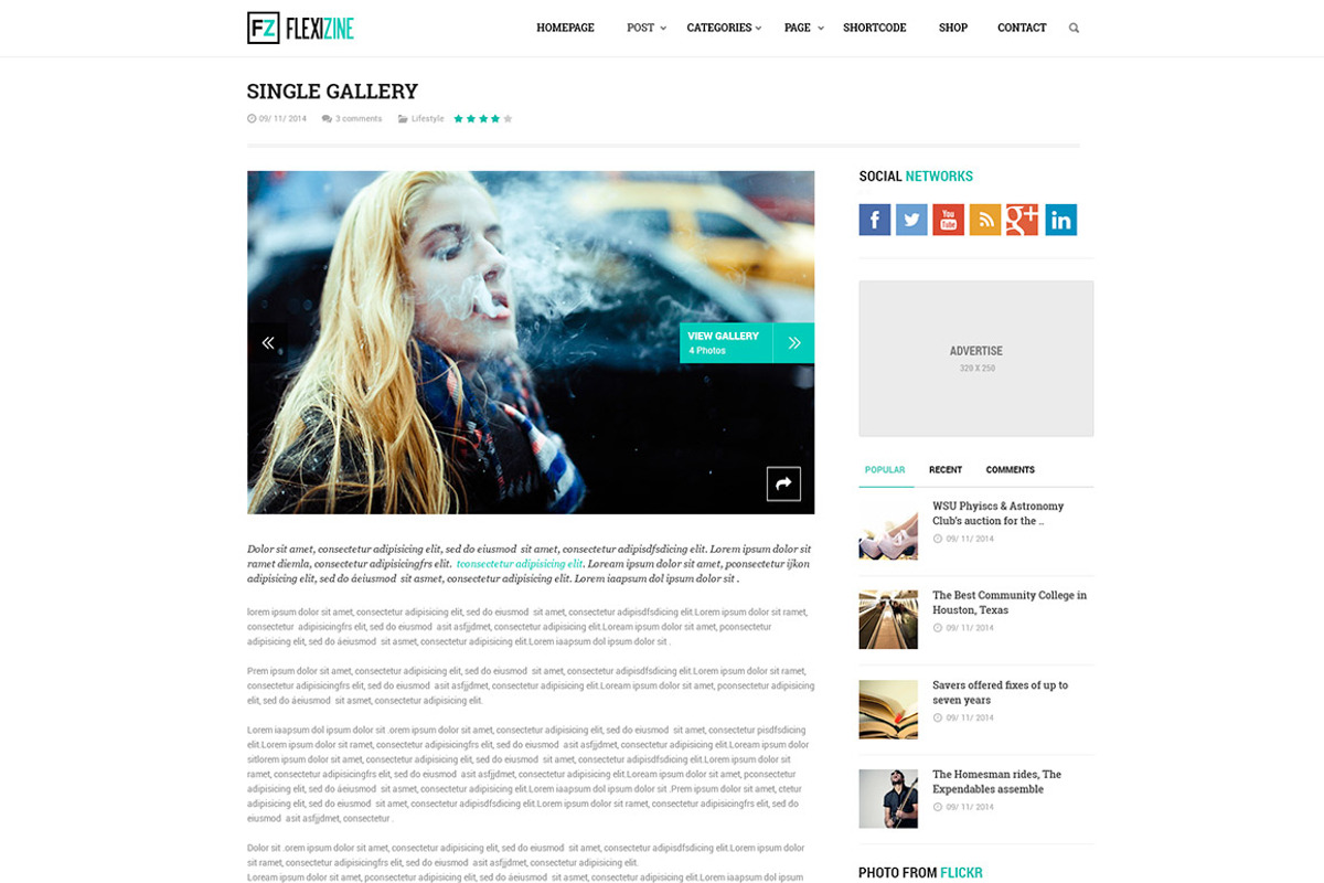 Flexi - PSD for Blog, Personal, News, a Websites & App Template by Digipieces (Photo 4 of 11)