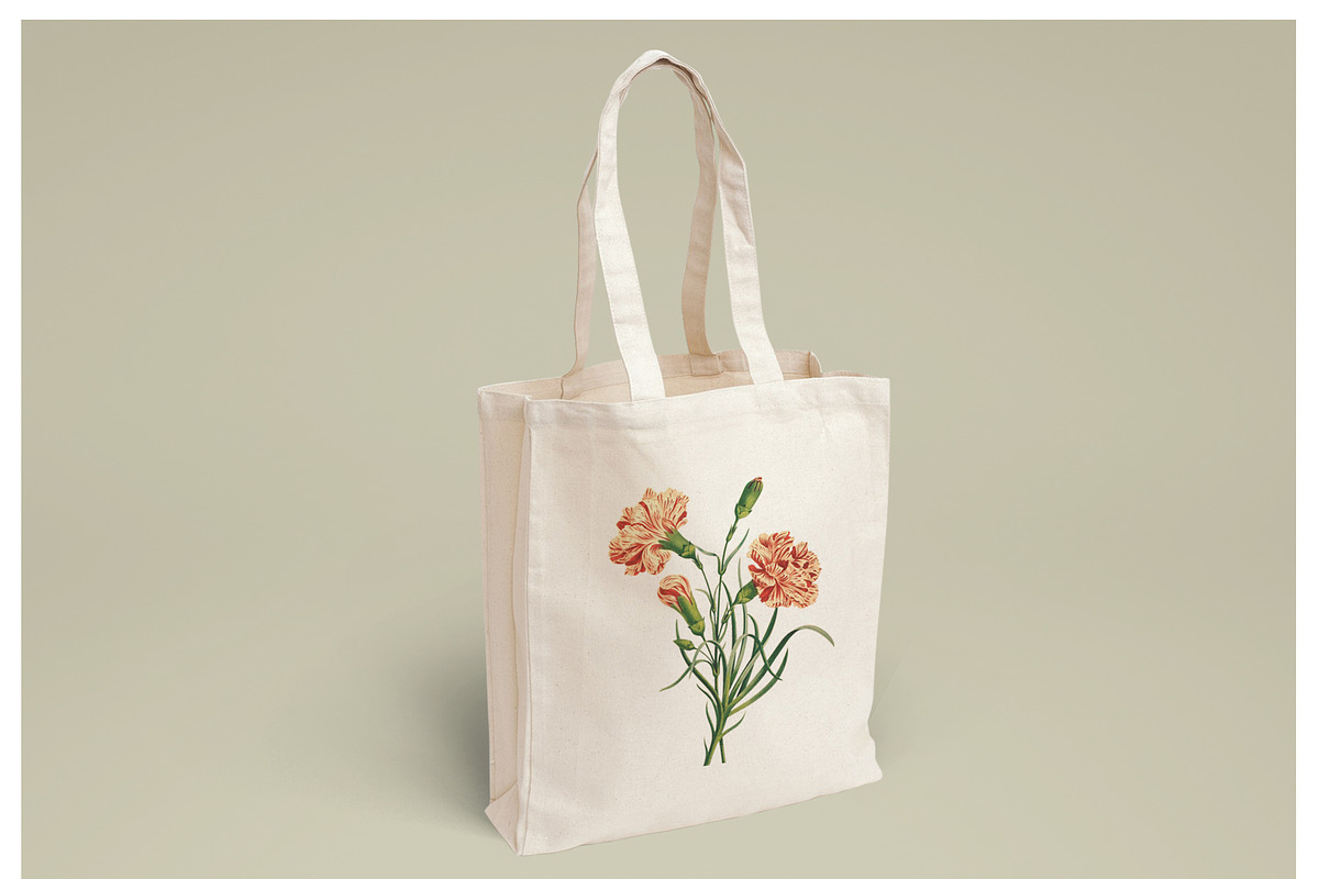 5x Isolated Flower Illustration (02), an Object Graphic by Europe.graphics (Photo 4 of 7)